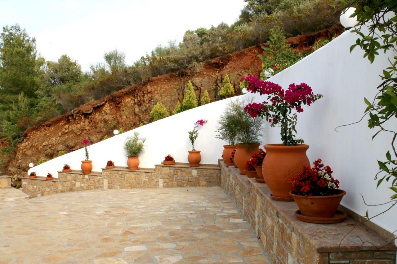 S&S Pura Vida Apartment Paliouri Dış mekan fotoğraf